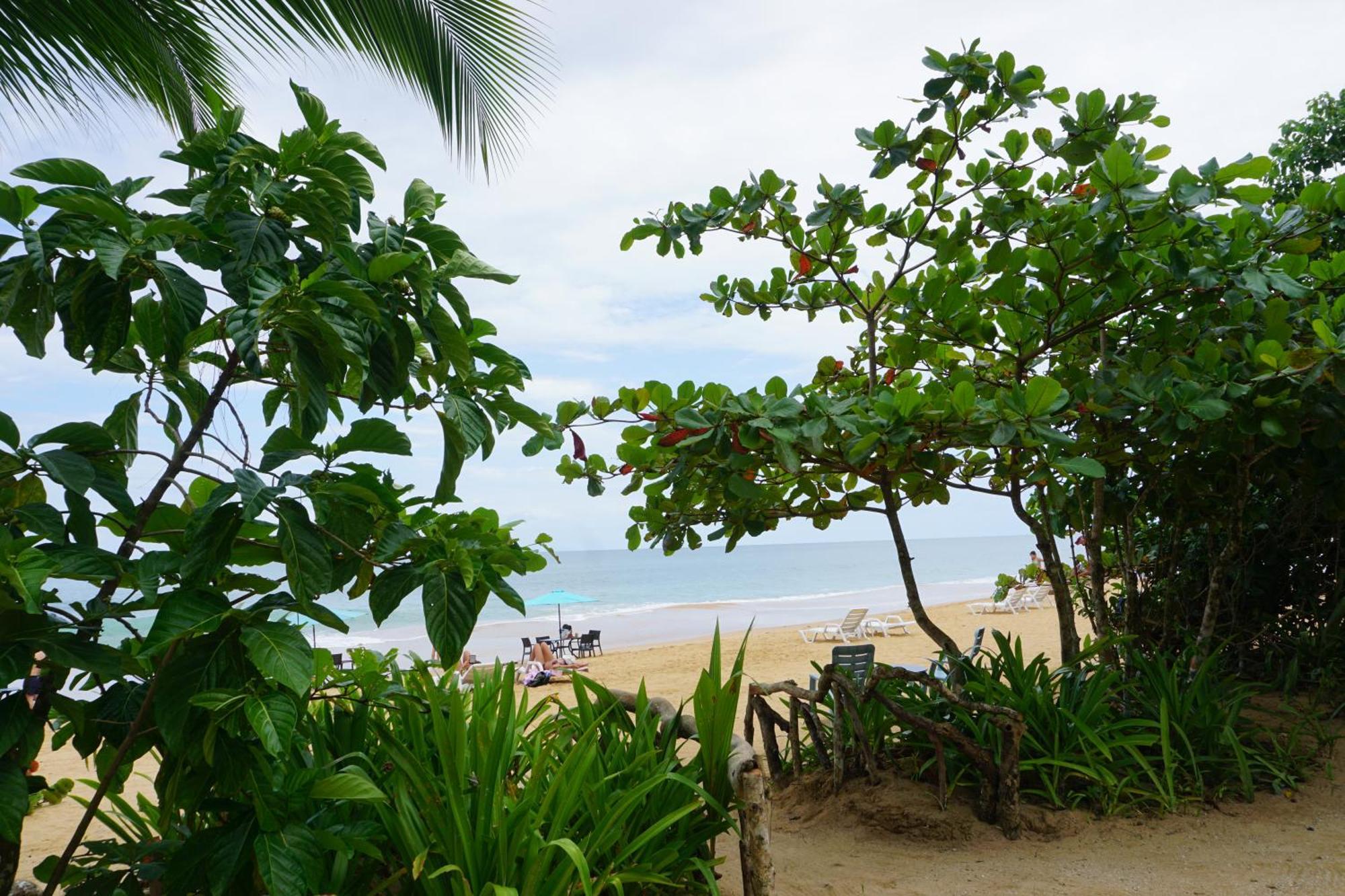 Oasis Bluff Beach Бокас-дель-Торо Экстерьер фото